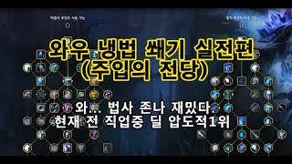 와우10.1.5냉법 쐐기 (주입의 전당 무편집)