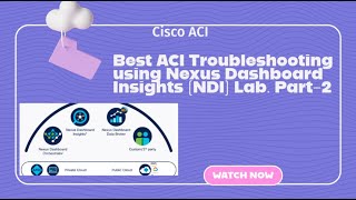 Best ACI Troubleshooting using Nexus Dashboard Insights (NDI) Lab. Part-2