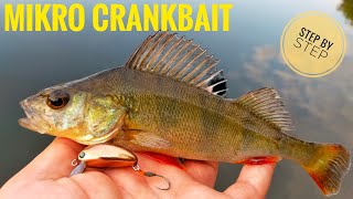 Lure Making Mikro Crankbait | Same Day Build to Catch ® 🎣