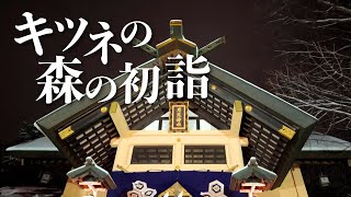 New Year in the Fox Forest | 4K【Tsukisamu Shrine】