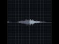 Fine Crackles Recording & Waveform | Eko Health