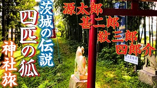 茨城の稲荷神社　知られざる「四匹の狐」の伝説を巡る神社リモート旅