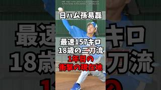 【日ハム】台湾の二刀流・スンイーレイの現在地がこちら