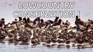 Coastal Kingdom | Season 2, Episode 5 – ‘Lowcountry Conservation I’ | Full Episode