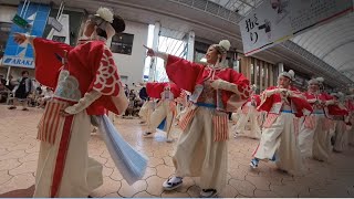 【360】ほにや　本祭1日目　第71回よさこい祭り