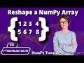 #25 Reshape a Array - NumPy Tutorial 5 | Python Project Solver