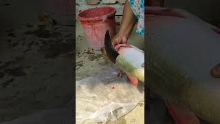 সিলভার কার্প মাছ কাটার দক্ষতা Big Silver Carp Fish Cutting Skills #shorts #fishcutting #viral shorts