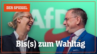 AfD-Parteitag: Die neue Fassade der Einigkeit – Shortcut | DER SPIEGEL