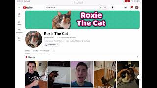 Subscribe to Roxy the cat