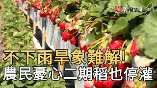 不下雨旱象難解! 農民憂心二期稻也停灌｜寰宇新聞 20210316