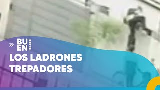 PARECEN GATOS, SON LADRONES: TREPARON una PARED PARA ROBAR  - #BuenTelefe