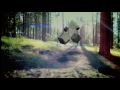 Lost in the Woods (motion graphics)