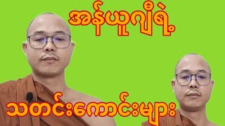 အန်ယူဂျီရဲ့သတင်းကောင်းများ