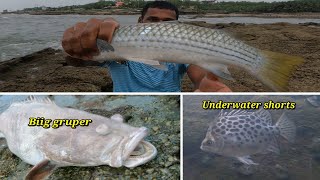 थर्माकोल च्या शीट वर जाऊन केली खोल समुद्रात खतरनाक मासेमारी🐟.cast net fishing.mumbai indian fishing🎣