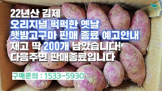 [신바람 농산물 협력농가 판매상품 1533-5930  (신선마켓.com)]22년산 전북 김제 햇 밤고구마 판매합니다.