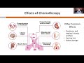 understanding chemotherapy