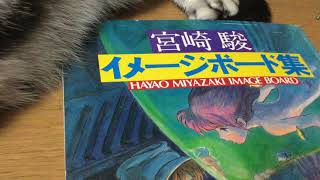 珍しい本の購入方法とランク