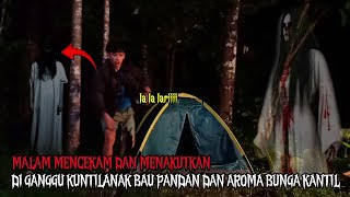 CAMPING HOROR:BIKIN MERINDING!!SEMALAM DI GANGGU KUNTILANAK BAU PANDAN DAN AROMA BUNGA KANTIL