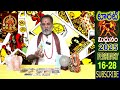 మిథునం రాశి ఫలితాలు 2025 february 16 28 telugu tarot reading devaprasna mithunam gemini horoscope