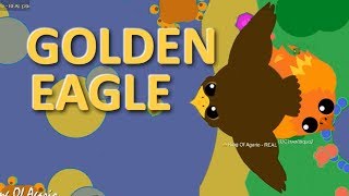 Playtubepk Ultimate Video Sharing Website