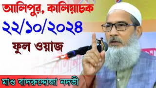 22/10/2024 আলিপুর কালিয়াচক | ফুল ওয়াজ | Maulana Badruddoja Nadvi | Islamer Knowledge