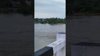 సముద్రాన్ని తలపిస్తున్న క్రిష్ణమ్మ #latest #latestnews #floods #apfloods #trending #viralreels