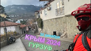 КРЫМ 2024 | ГУРЗУФ | 16 декабря ❤️🌊⛰🌴🏖🐬☀️🚵‍♂️