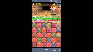 【パズドラ】土日ダンジョン　コイン4倍　シーフパーティー