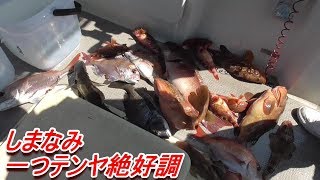 ＧＷ第１回釣行で釣れまくり！しまなみは一つテンヤ天国じゃ