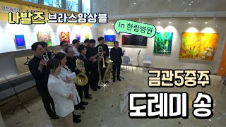 금관5중주🎺도레미송 - 나발즈 브라스 앙상블 (한림병원)