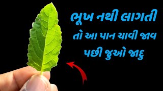 ભૂખ નથી લાગતી તો આ પાન ચાવી જાવ પછી જુઓ જાદુ || Low Appetite