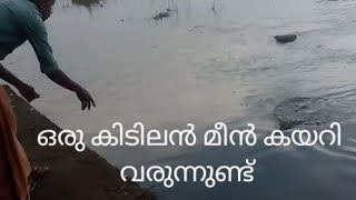 നല്ല നാടൻ മീൻപിടിത്തം Kerala Traditional River fishing #fishing #kerala_fishing #fish #mancing