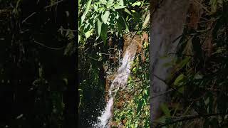 Chandradrona Hills, Chikmagalur.