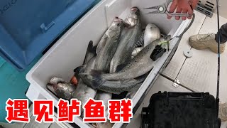 阿杰出海人品爆发，碰到密密麻麻鱼群，黄三、鲈鱼疯狂咬钩【岛民阿杰】