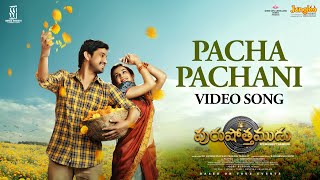 Pacha Pachani | Video Song | Purushothamudu | Raj Tarun | Hasini | Ram Bhimana (Rom) | GopiSundar