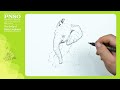 manman the african elephant 2 body learn to animals with zhao chuang