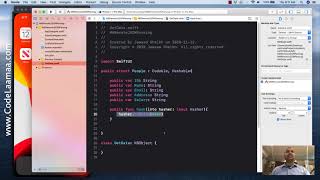 Remote JSON Parsing & Download using SwiftUI - Learn SwiftUI for iOS