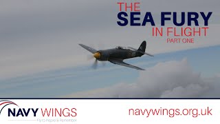 Sea Fury in Flight Part 1