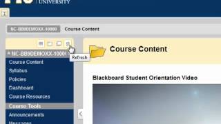 Blackboard -- Course Menu