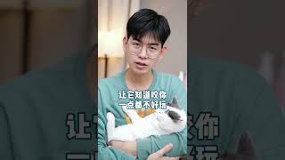 猫咪咬人你会怎么对它？这三招经多人实测有效#科学养宠 #猫咪咬人 #猫知识 #养猫经验分享 #养猫必备 #喵星人 #科学养宠