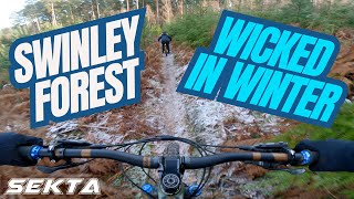 SWINLEY FOREST MTB💥Sunday at Swinners with MTB Laura