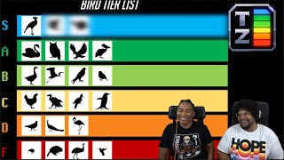 Tier Zoo: The Bird Tier List