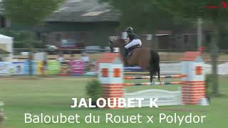 Jaloubet K VDL (Baloubet du Rouet x Polydor x Pakt) Taloubet Z