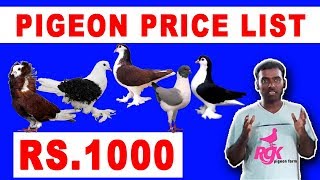 PIGEON   PRICE  LIST PART 2