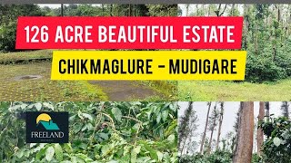 126 Acre Beautiful Estate For Sale | Chikmaglure | Mudigere | Karnataka