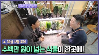 '이파리 한 장에 400만 원 (⊙﹏⊙)' 일반인(?) 태훈은 전혀 이해 못하는 식물의 세계 | 푸어라이크 6 회