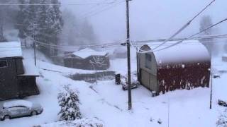 2011年12月16日降雪の情景