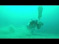 dixie divers rapa nui reef work deerfield beach scuba diving