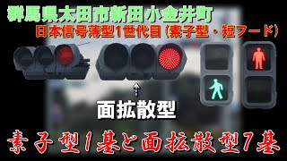 【信号機】群馬県太田市新田小金井町 日信初代薄型素子型ユニット(警交1014号・短フード)〈146)