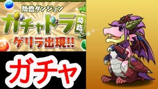 【パズドラ】ダンジョンボスセレクトガチャ９連